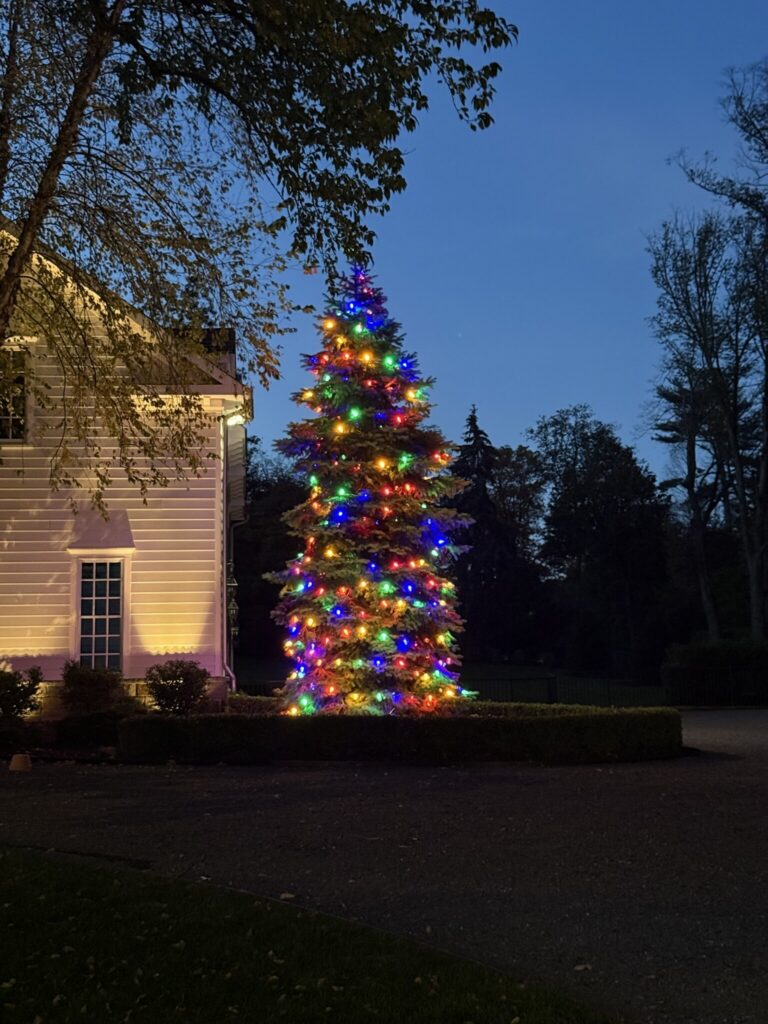 Tall evergreen wrapped in multicolor lights beside a house at dusk