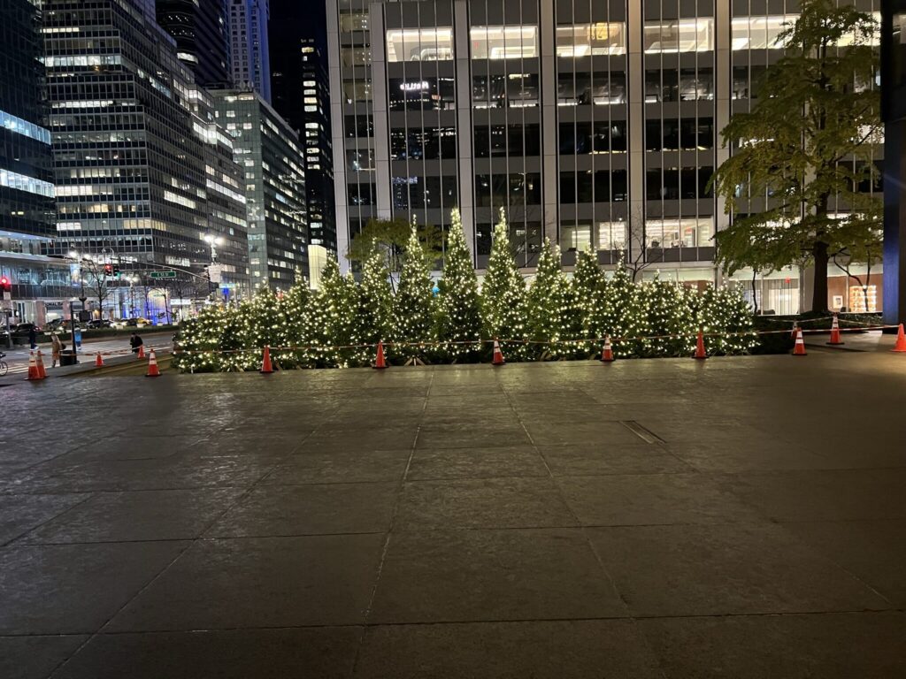 Office plaza with rows of trees wrapped in warm white lights