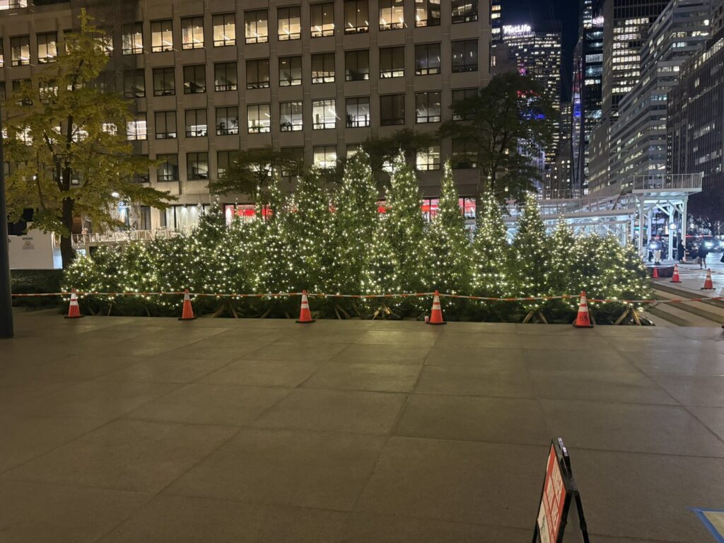 Plaza with a row of trees wrapped in warm white lights in front of an office building